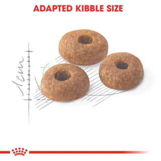 Royal Canin FIT อาหารเม็ด สำหรับแมวโต เลี้ยงปล่อย อายุ 1 ปีขึ้นไป ขนาด 4 Kg