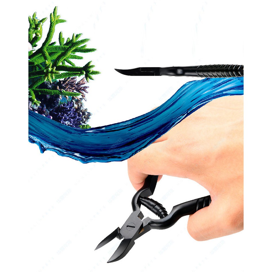 VastOcean  ขนาด12/15cm. คีมตัดปะการัง Reef Coral Propagation Cutter สำหรับตัด LPS SPS stainless steel คีม ตัดปะการัง ปลา ราคา ถูกที่สุด ดีลบีเคเค แกลเลอรีภาพที่ 5