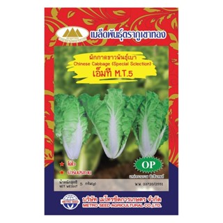 เมล็ดผักกาดขาว พันธุ์เบา เอ็มทีM.T.5 MT/OP-046 ตราภูเขาทอง เ…