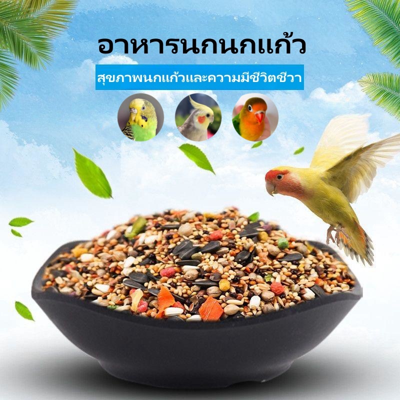 อาหารนกนกแก้ว อาหารนกพิเศษสำหรับนกแก้ว เหมาะสำหรับอาหารนกทุกประเภท 1 แพ็ค 400G