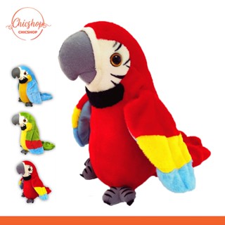 chishop นกแก้วพูดได้ ทุกภาษา ตุ๊กตานกแก้ว