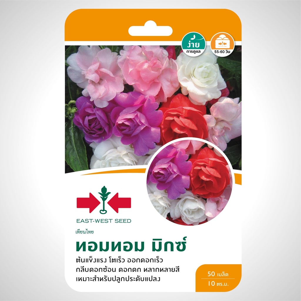 เทียนไทย ทอมทอม มิกซ์  SD/FW-008 เมล็ดพันธุ์ดอกไม้ เมล็ดพันธุ์ ผักสวนครัว ตราศรแดง