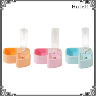[Hatel] ชุดชามใส่อาหาร กันลื่น สําหรับสัตว์เลี้ยง กระต่าย แมว