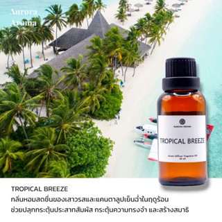 Aroma Diffuser Fragrance Oil น้ำหอมเครื่่องพ่นไอน้ำ 20 / 30 ml.กลิ่น TROPICAL BREEZE กลิ่นทรอปิคอล บีซ    น้ำหอมอโรม่า