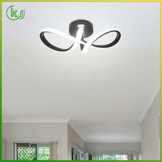 [Wishshopeelxl] โคมไฟเพดาน LED สําหรับทางเดิน