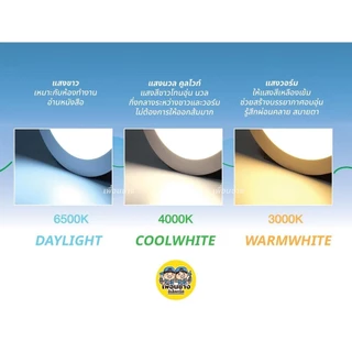 Panasonic ดาวน์ไลท์ ฝังฝ้า Panel LED รุ่น DN-2G โคมไฟ ไฟเพดาน พาแนล โคมไฟดาวน์ไลท์ downlight พานาโซนิค