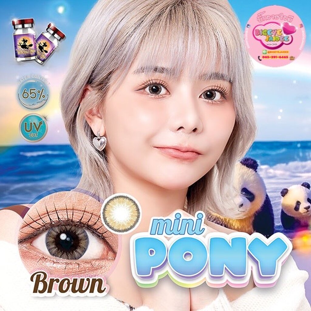 WitchesLens Mini Pony Eff.14.5 Brown มินิ