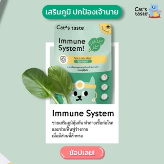 Cat's Taste Healthy [ยกลัง 48 ซอง] อาหารเปียกแมว แคทเทสต์ ไม่เติมเกลือ ขนาด 70 กรัม