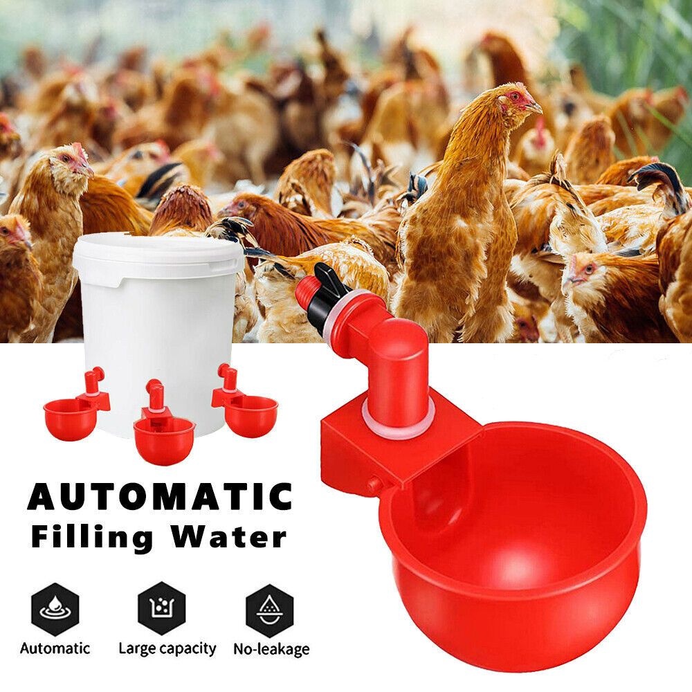 6/10PCS อัตโนมัติสัตว์ปีก Water Feeder เป็ดไก่นกแขวนตู้น้ํา bekas miuman ayam