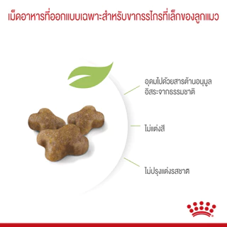 Royal Canin Kitten อาหารเม็ด สำหรับแม่แมวและลูกแมว ขนาด 4 Kg