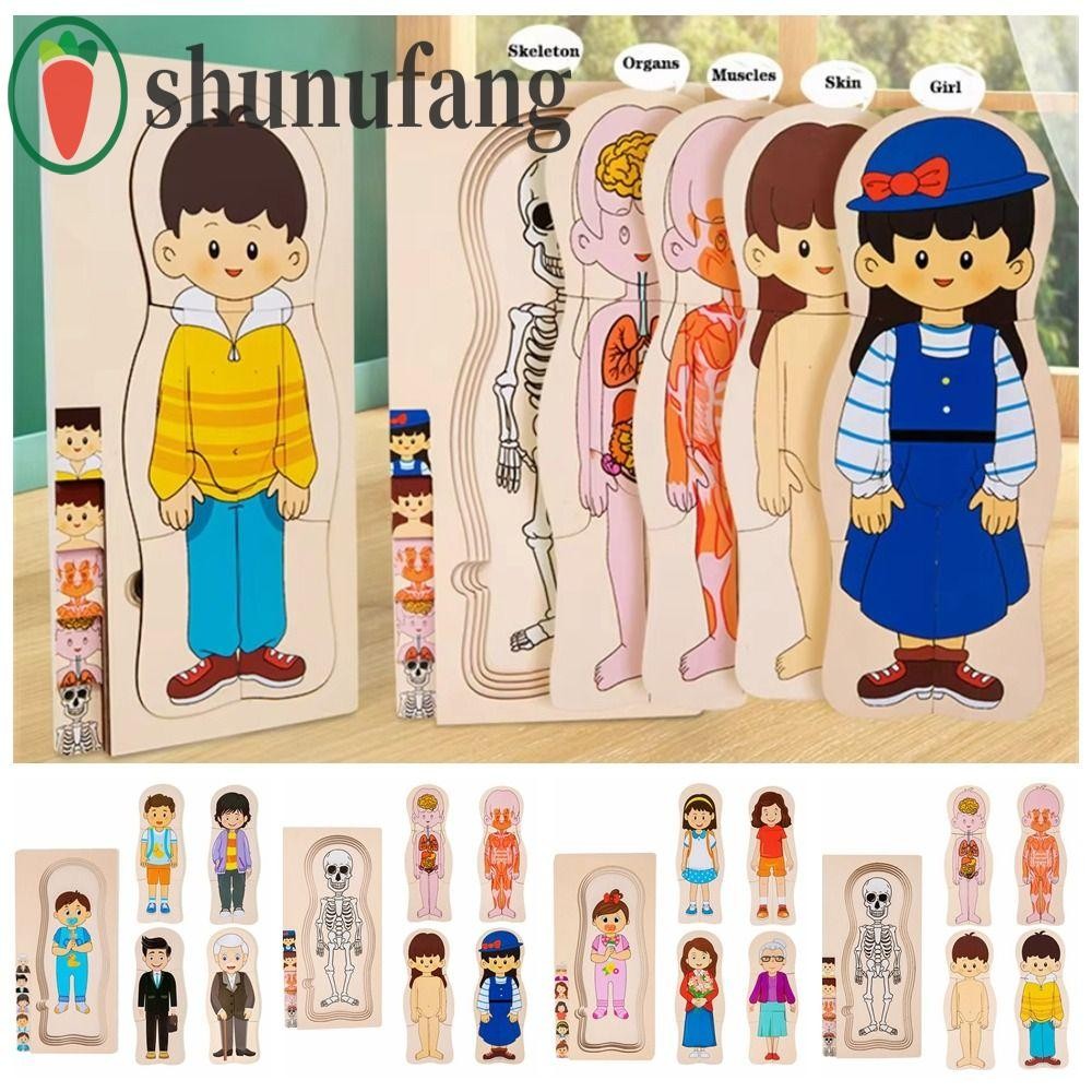 อูนูฟ ไม้ร่างกายมนุษย์ปริศนา, ชายหญิงหลายชั้นร่างกายโครงสร้างปริศนา,แผงของเล่นพ่อแม่และลูกปฏิสัมพันธ์ มอนเตสซอรี่ การศึกษากายวิภาคศาสตร์จิ๊กซอว์เด็กเด็ก