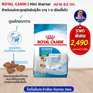 ROYAL CANIN-Mini Starter ลูกสุนัขหย่านม-2เดือน ขนาด 8.5 กก.