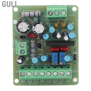 Guli DC12V Power Amplifier VU Meter  Board Prevent Interference Digital