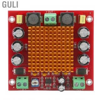 Guli Single Channel Digital Amplifier Board Stereo  Power