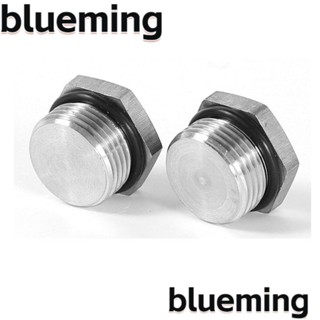 Blueming2 หัวหกเหลี่ยม สเตนเลส 304 ปลั๊กตัวผู้ สีเงิน M12x1.5 สําหรับท่ออากาศ 2 ชิ้น