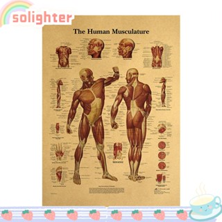 Solighter โปสเตอร์กระดาษคราฟท์ ลายโครงกระดูก แนวเรโทร ขนาด 42x30 ซม. สําหรับตกแต่งผนังบ้าน คาเฟ่ บาร์