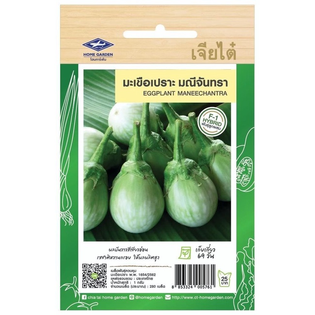 มะเขือเปราะมณีจันทรา CT/F1-085 เจียไต๋F1 ประมาณ280เมล็ด มะเขือเปราะ เมล็ดพันธุ์ผัก เมล็ด ผักสวนครัว