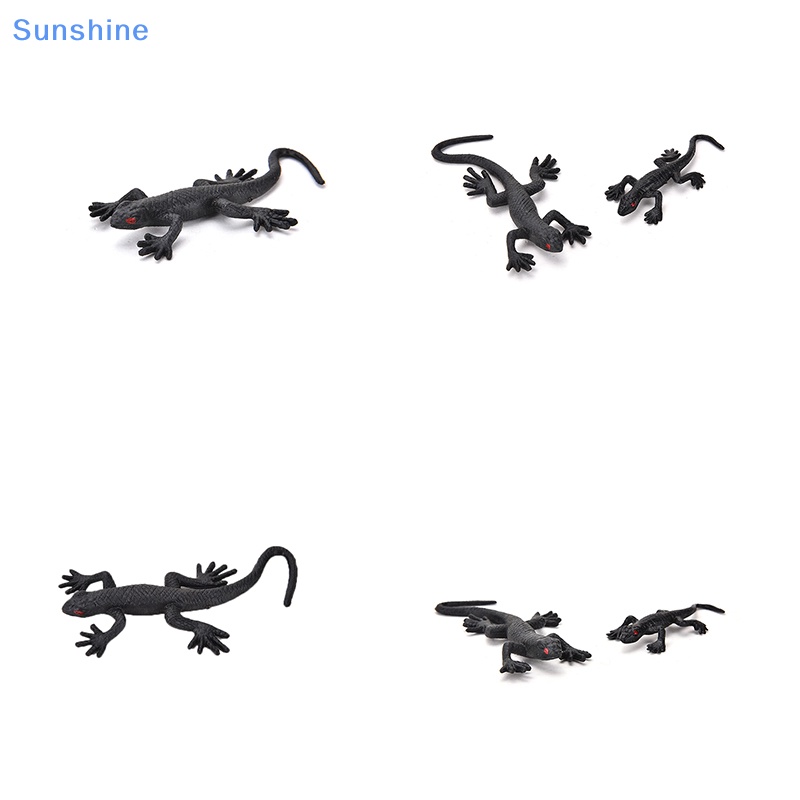 ดวงอาทิตย์ 2ชิ้นโจ๊กบ้านปลอมจิ้งจกตลกเล่นตลกชีวิตแปลกเช่นปลอมเคล็ดลับพลาสติก
ตลกเล่นตลกชีวิตแปลกเช่น