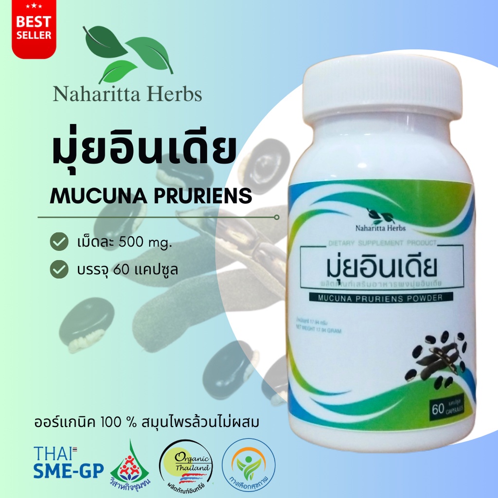 มุ่ยอินเดีย Mucuna pruriens 100% 60cap. ส่งไว คุณภาพดี