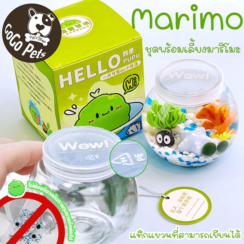 ☘️COD☘️ Marimo ชุดพร้อมเลี้ยงมาริโมะ เหมาะสำหรับให้เป็นของขวัญสำหรับคนที่รัก มาริโมะ มอสบอล