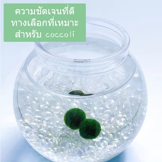 พร้อมส่ง✅ Marimo มาริโมะ เซ็ทพร้อมขวดแก้ว เหมาะสำหรับให้เป็นของขวัญสำหรับคนที่รัก