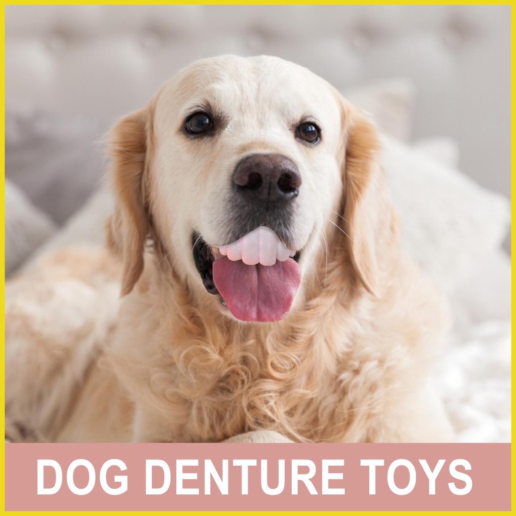 ของเล่นฟันปลอม ซิลิโคน ทนทาน ใช้งานง่าย สําหรับสัตว์เลี้ยง สุนัข