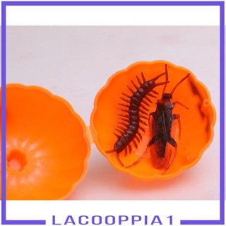 [Lacooppia1] กล่องเก็บขนม รูปฟักทอง ขนาดเล็ก เปิดได้ 12 ชิ้น