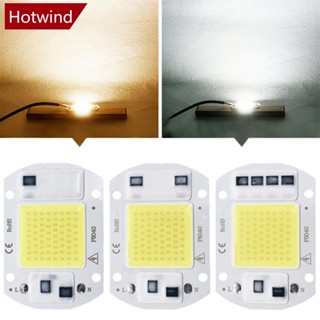 Hotwind ชิปหลอดไฟ LED 110V 220V 20W 30W 50W COB ไม่ต้องใช้ไดรเวอร์ สีขาวอบอุ่น สําหรับไฟ DIY V2Z6