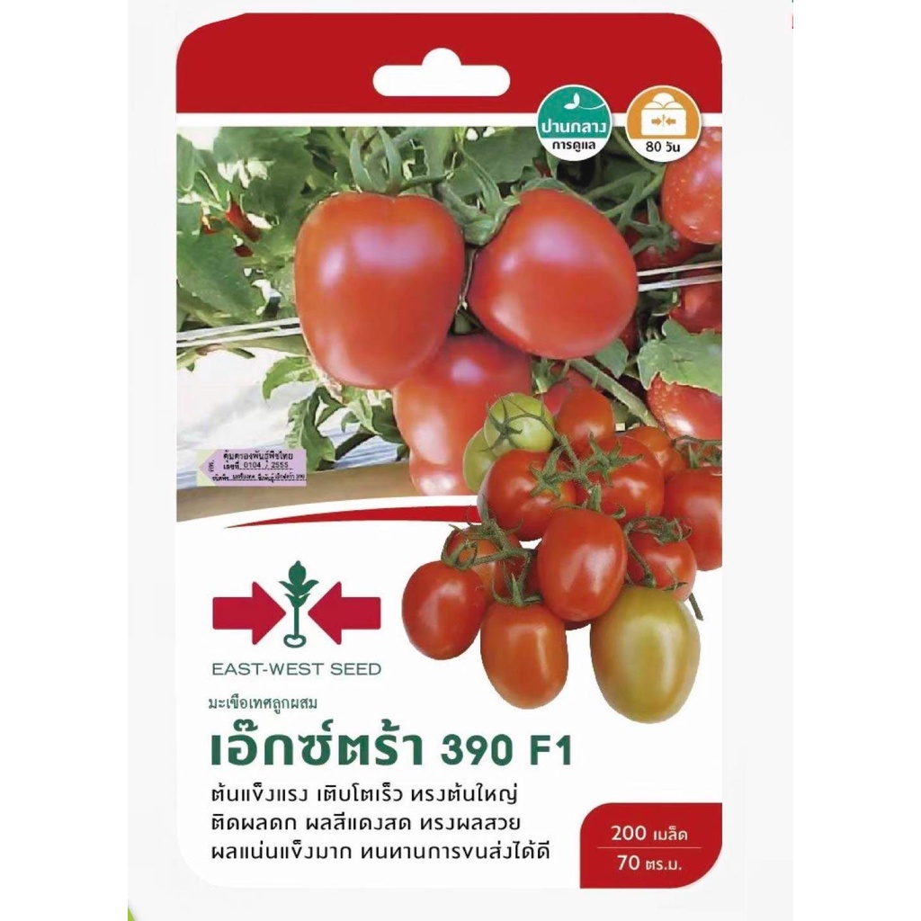 มะเขือเทศ เอ็กซ์ตร้า 390 SD/F1-062 ผักซองศรแดงF1 East-West Seed เมล็ดพันธุ์ผัก เมล็ดพันธุ์ผักสวนครัว