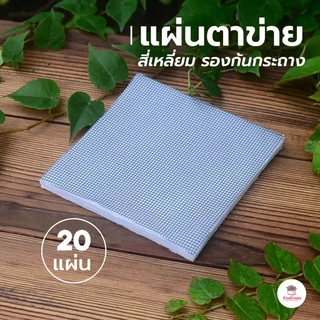 [ 20ชิ้น ] แผ่นตาข่ายสี่เหลี่ยมรองก้นกระถาง ไม้อวบน้ำ กุหลาบหิน cactus&succulentหลากหลายสายพันธุ์