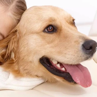 [VIP] ยาหยอดตาสัตว์เลี้ยง ดูดซับน้ําตาแห้ง ปลอดภัย ไม่ระคายเคือง ใช้ง่าย สําหรับสุนัข 20 มล. 1 ขวด