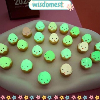 Wisdomest ไก่เรืองแสง ขนาดเล็ก 10 ชิ้น อุปกรณ์เสริม สําหรับตกแต่งสวน DIY