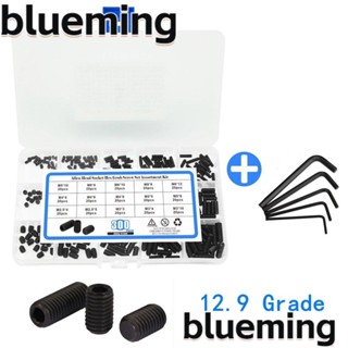 Blueming2 สกรูซ็อกเก็ตหกเหลี่ยม เหล็กคาร์บอน เกรด 12.9 สีดํา 300 ชิ้น พร้อมประแจหกเหลี่ยม M2.5 M3 M4 M5 M6 M8