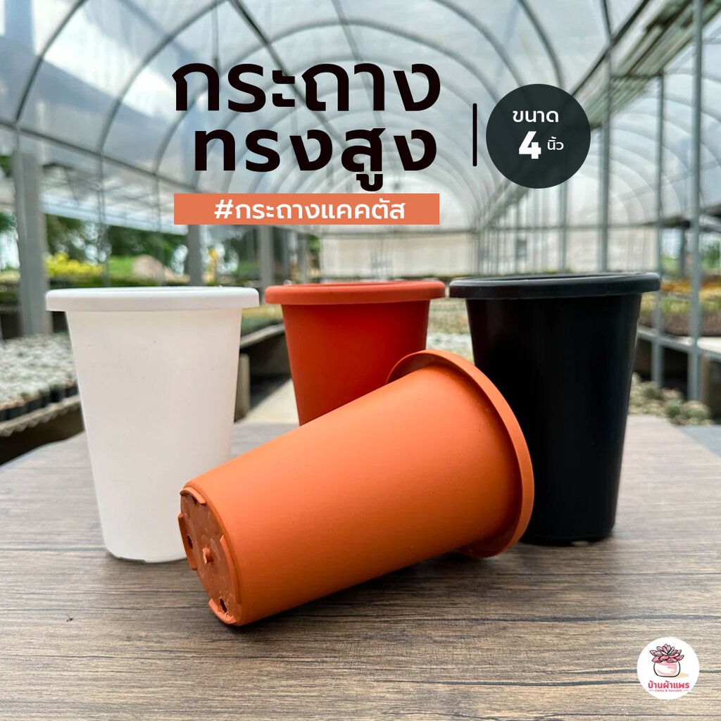 กระถาง 4 นิ้ว ทรงสูง กระถางพลาสติก แคคตัส กระบองเพชร ไม้อวบน้ำ Cactus&Succulent