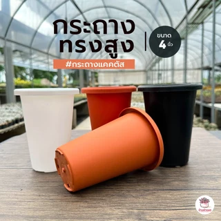 กระถาง 4 นิ้ว ทรงสูง กระถางพลาสติก แคคตัส กระบองเพชร ไม้อวบน้ำ Cactus&Succulent