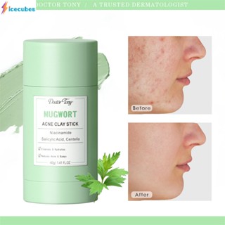 Dorctor Tony Mugwort Acne Clay Mask Stick (40g) ICECUBES