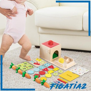 [Figatia2] กล่องเหรียญ ลูกบอลปอนด์ ทรงทักษะยนต์ เรียงลําดับและซ้อนกัน ของเล่นแครอท เก็บเกี่ยว ของขวัญวันหยุด สําหรับเด็กก่อนวัยเรียน