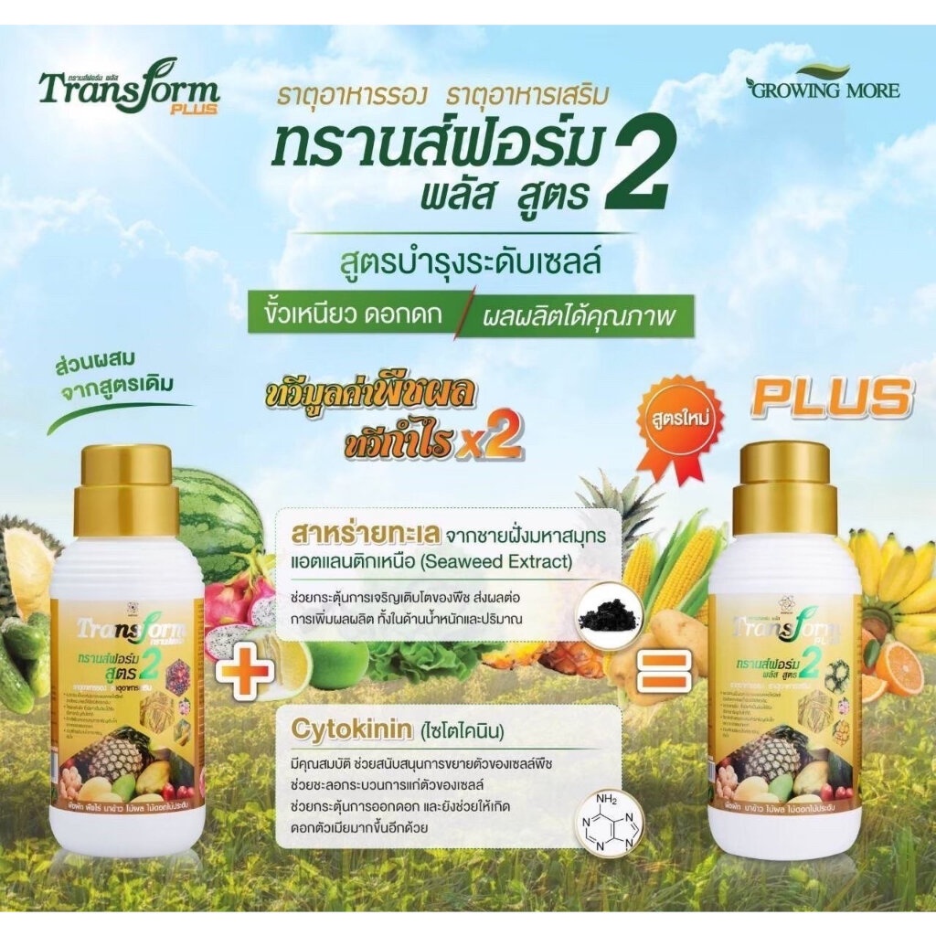 SCM / TRANSFORM PLUS 2 ต้นทุนลด ผลผลิตดี ธาตุรองเสริมทางใบ ขั้วเหนียว แตกดอก ผลดก ขยายขนาดรสชาติดี