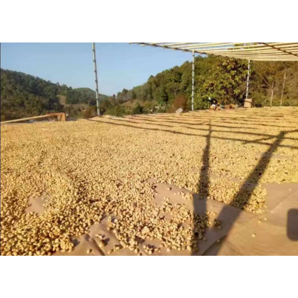 12 กิโลกรัม เมล็ดกาแฟดอยอินทนนท์ จ.เชียงใหม่   เมล็ดกาแฟอราบิก้า100 % เกรดAA - รูปที่ 3