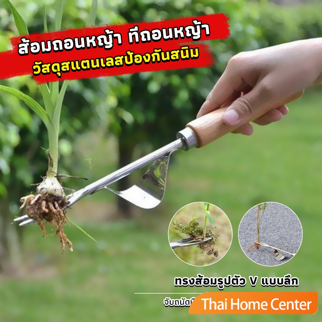 ส้อมถอนหญ้า ดึงวัชพืช ที่ขุดหญ้า ถึงราก ถึงโคน วัสดุสแตนเลส ทนทาน Weeding Fork