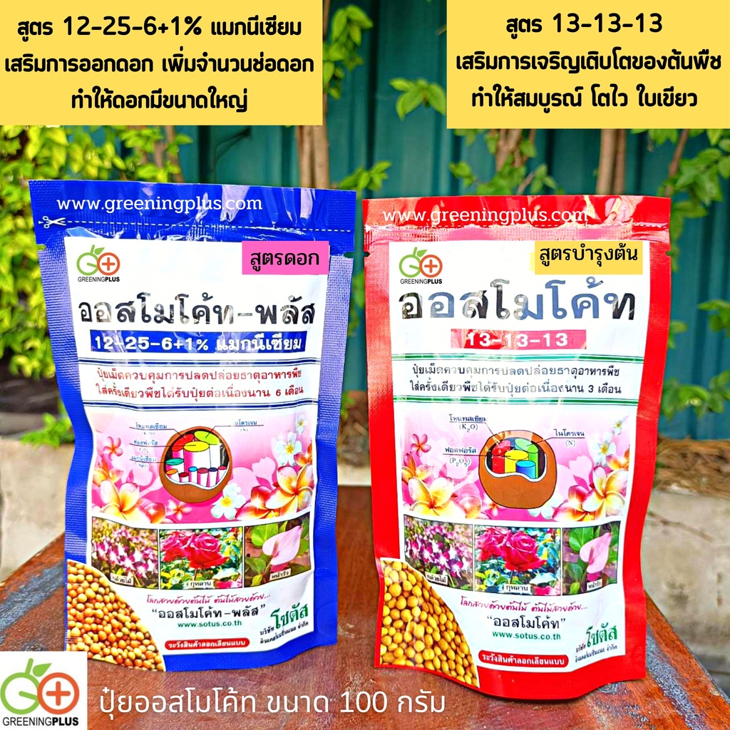ปุ๋ยละลายช้า ปุ๋ยออสโมโค้ท ขนาด 100g 12-25-6+1% บำรุงต้น เร่งดอก บำรุงต้น เร่งดอก - รูปที่ 4