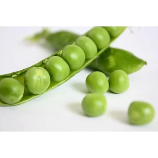 เมล็ดพันธุ์ ถั่วลันเตา ถั่วลังเตาหวาน 40 เมล็ด [10 แถม 1 คละได้]