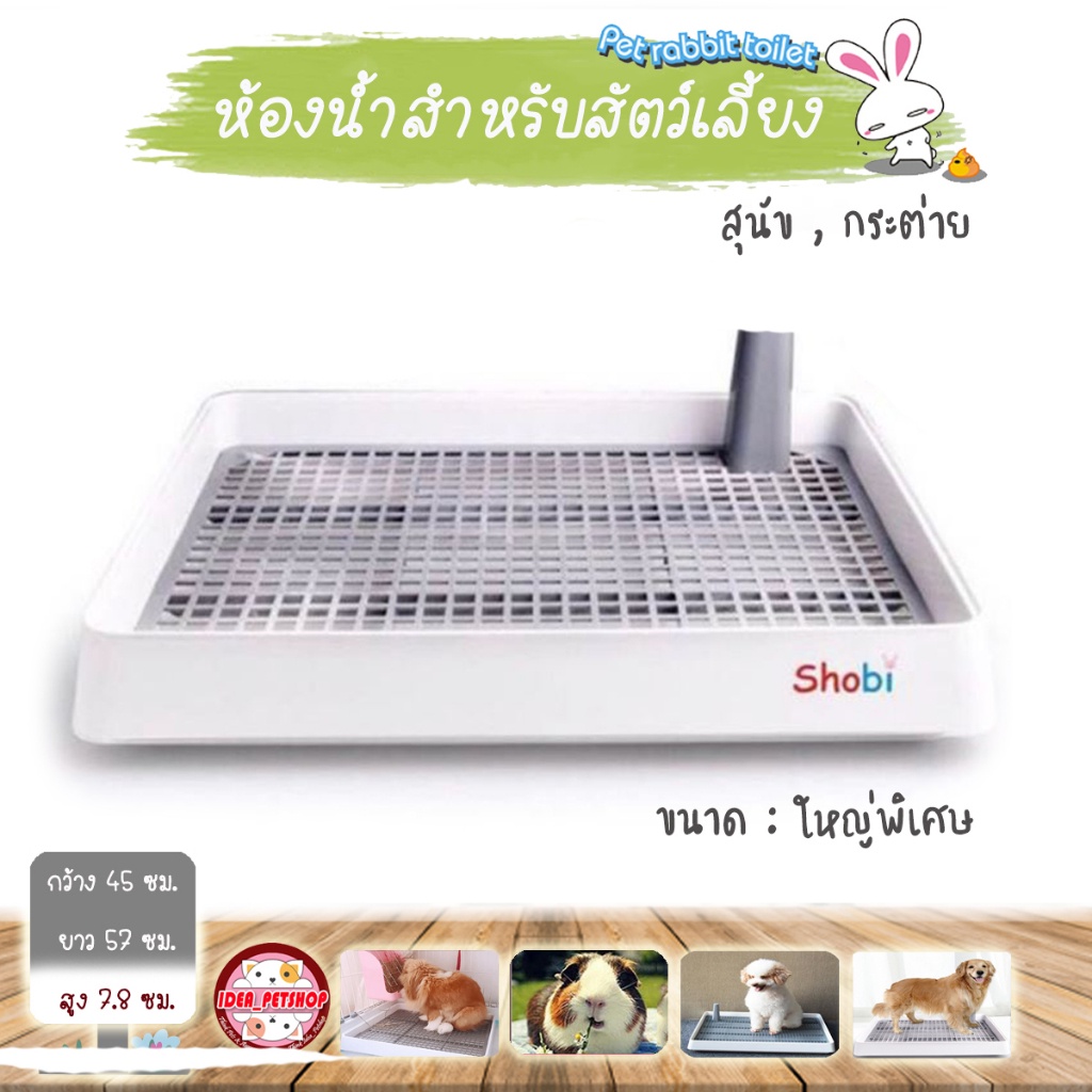 ห้องน้ำสุนัข ห้องน้ำกระต่าย 🐕ขนาดใหญ่พิเศษ🐇 สินค้าเกรดพรีเมี่ย ห้องน้ำหมา