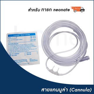 (เด็กทารก) สายให้ออกซิเจน 2.1 m neonate Nasal Cannula สำหรับ…