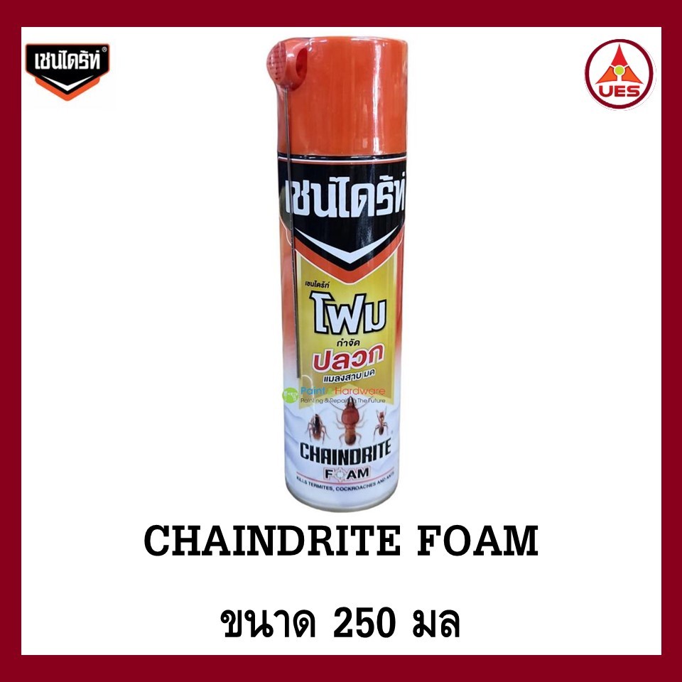 Chaindrite เชนไดร้ท์ โฟม ป้องกันและกำจัดปลวก  CHAINDRITE FOAM 250 มล