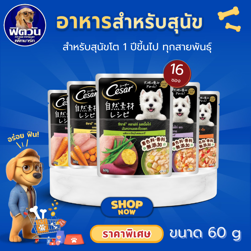 Cesar Craft อาหารเปียกสุนัข ชนิดซอง 60กรัม (1กล่อง x 16 ซอง){อาหารเปียกสุนัข}
