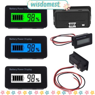 WISDOMEST โมดูลแสดงสถานะความจุแบตเตอรี่ หน้าจอ LCD ความแม่นยําสูง