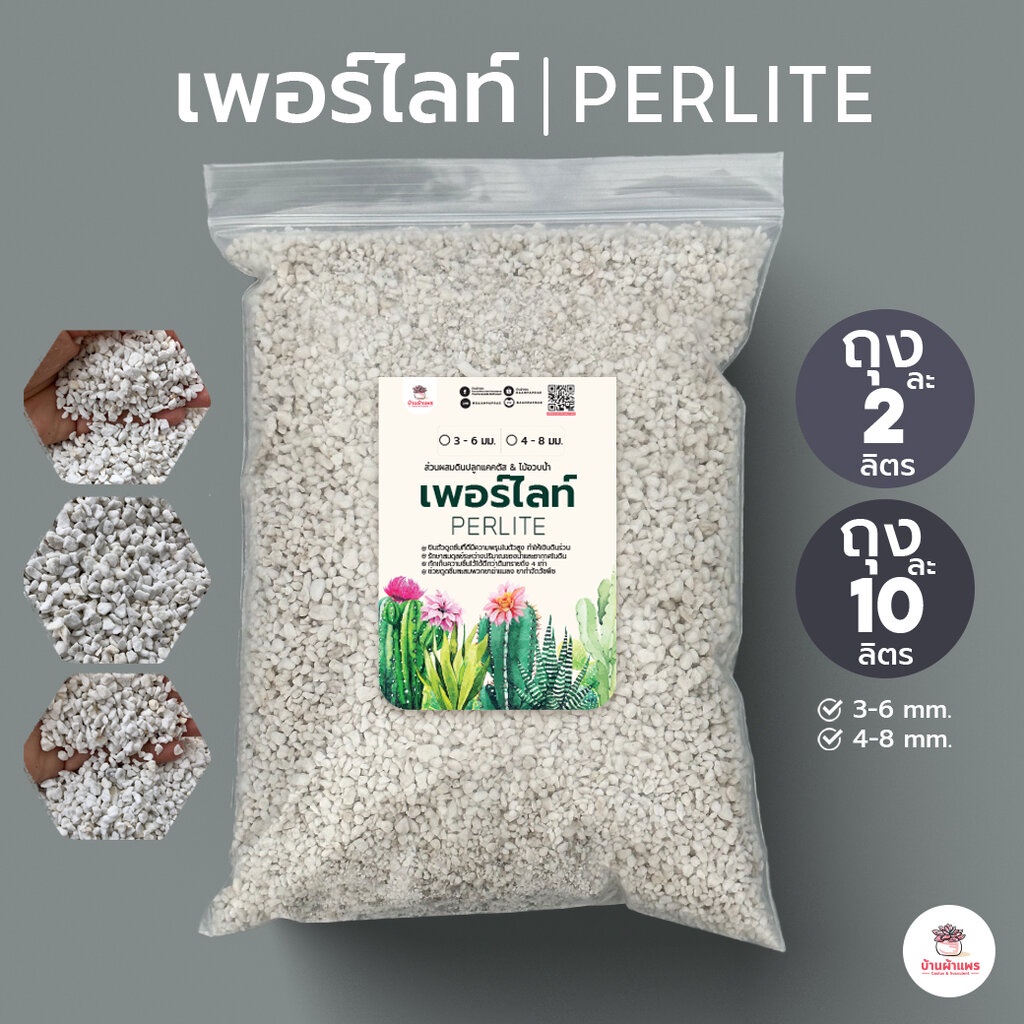 เพอร์ไลท์ ส่วนผสมดินปลูกแคคตัส&ไม้อวบน้ำ