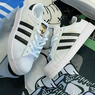 DAS Adidas Superstar Shell Design Sneakers Full 3 Colors White Cream Pink White Black Size For Men