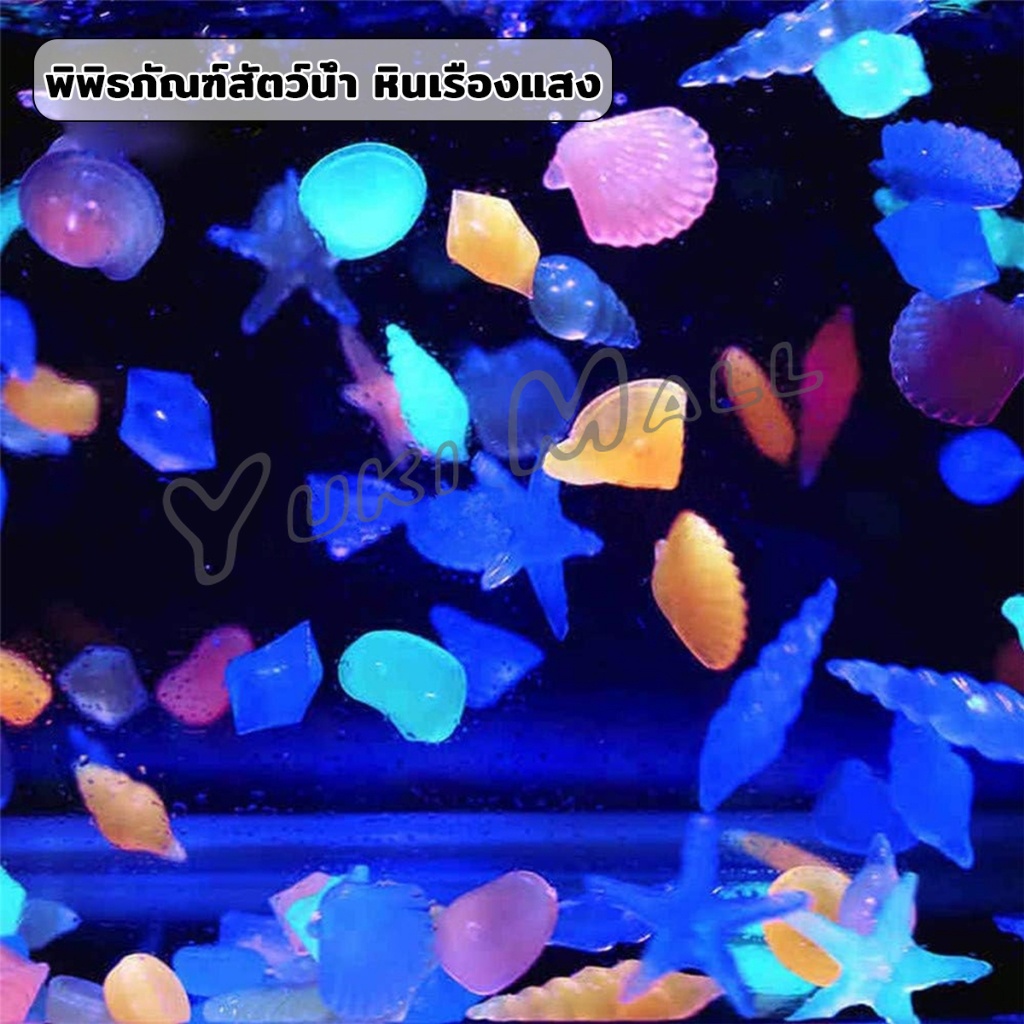 Yuki หินเรืองแสง รูปหอยสังข์ ตกแต่งสวน หรือตู้ปลา ขนาดหิน 2-3cm Luminous Stone - รูปที่ 4